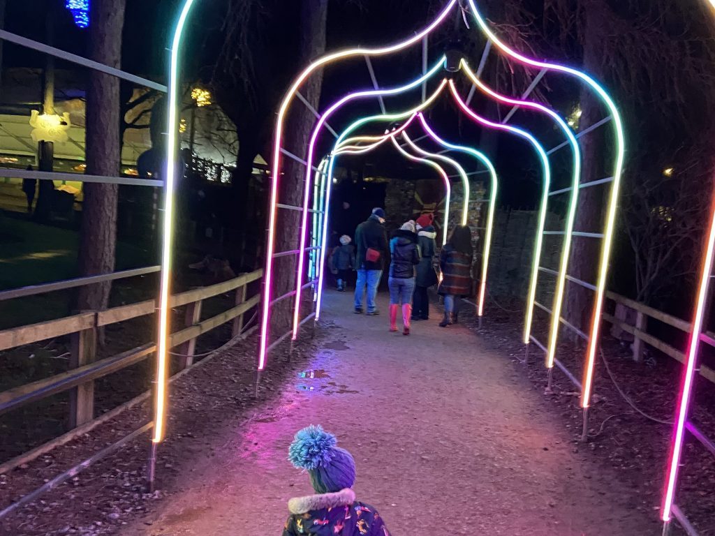 Christmas Events, Festive Trails & Seasonal Dining Near Ripon, Boroughbridge, Thirsk, Easingwold, and Knaresborough