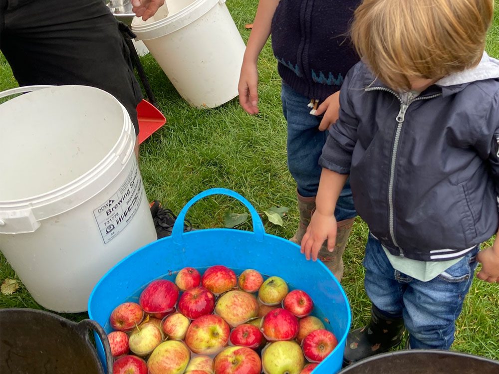 Top Apple Day and Harvest Festivals to Celebrate Autumn 2025 Near You
