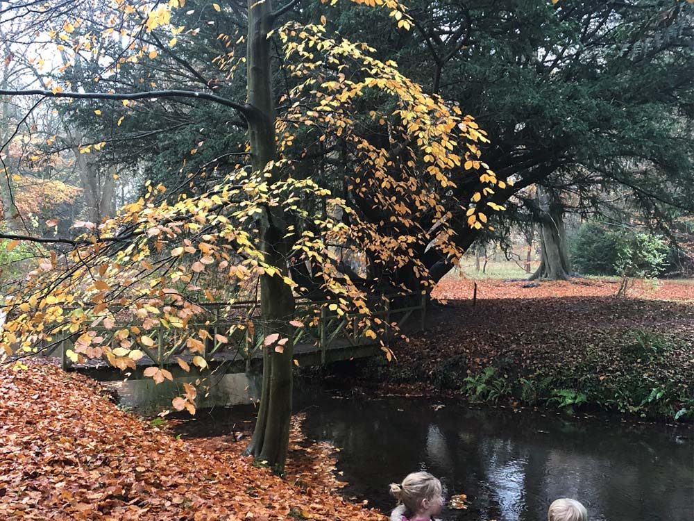 Top October Half Term Holiday Activities for Families in 2025